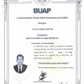 Ampliar imagen: certificate 2