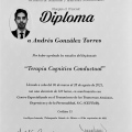 Ampliar imagen: certificate 7