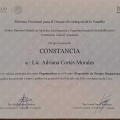 Ampliar imagen: certificate 9