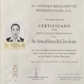 Ampliar imagen: certificate 5