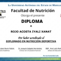 Ampliar imagen: certificate 4