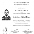 Ampliar imagen: certificate 2