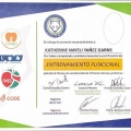 Ampliar imagen: certificate 13