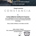 Ampliar imagen: certificate 4