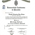Ampliar imagen: certificate 6