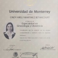 Ampliar imagen: certificate 3