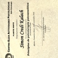 Ampliar imagen: certificate 10