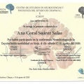 Ampliar imagen: certificate 13