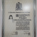 Ampliar imagen: certificate 1