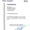 Ampliar imagen: certificate 18
