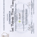 Ampliar imagen: certificate 9