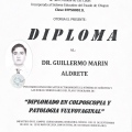 Ampliar imagen: certificate 3
