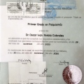 Ampliar imagen: certificate 6