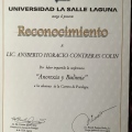 Ampliar imagen: certificate 15