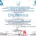Ampliar imagen: certificate 26