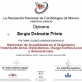 Ampliar imagen: certificate 4