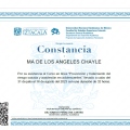 Ampliar imagen: certificate 3