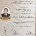 Ampliar imagen: certificate 2