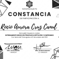 Ampliar imagen: certificate 2