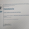 Ampliar imagen: certificate 3