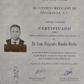 Ampliar imagen: certificate 2
