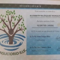 Ampliar imagen: certificate 4