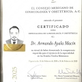 Ampliar imagen: certificate 5