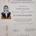 Ampliar imagen: certificate 3