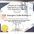 Ampliar imagen: certificate 5