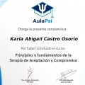 Ampliar imagen: certificate 2
