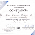 Ampliar imagen: certificate 1