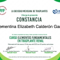 Ampliar imagen: certificate 5