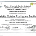 Ampliar imagen: certificate 3