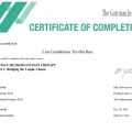 Ampliar imagen: certificate 4
