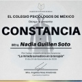 Ampliar imagen: certificate 5