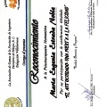 Ampliar imagen: certificate 13