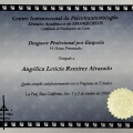 Ampliar imagen: certificate 13
