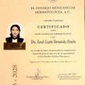 Ampliar imagen: certificate 5
