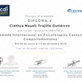 Ampliar imagen: certificate 6