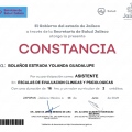 Ampliar imagen: certificate 12