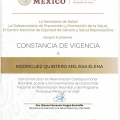 Ampliar imagen: certificate 6