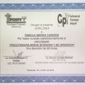 Ampliar imagen: certificate 14