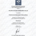 Ampliar imagen: certificate 4