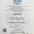 Ampliar imagen: certificate 4