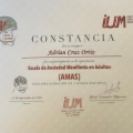 Ampliar imagen: certificate 24