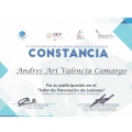 Ampliar imagen: certificate 8
