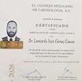 Ampliar imagen: certificate 1