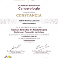 Ampliar imagen: certificate 13