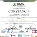 Ampliar imagen: certificate 4
