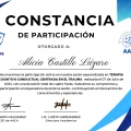 Ampliar imagen: certificate 2